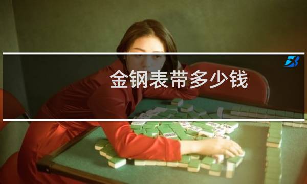 金钢表带多少钱