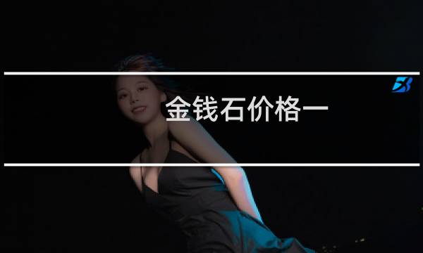 金钱石价格一