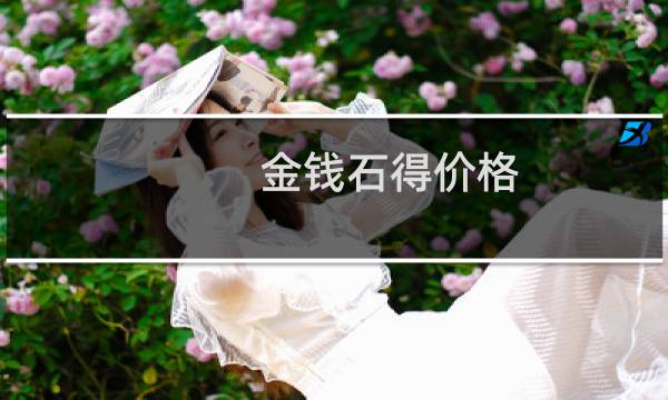 金钱石得价格
