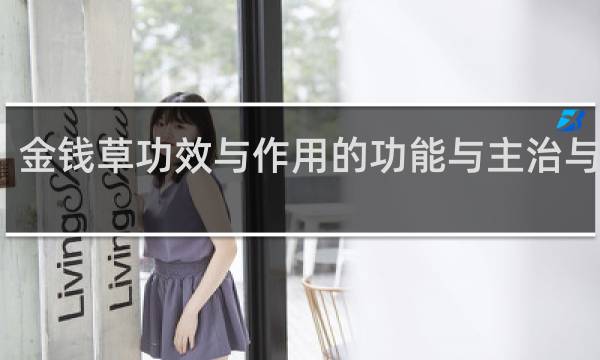 金钱草功效与作用的功能与主治与用量