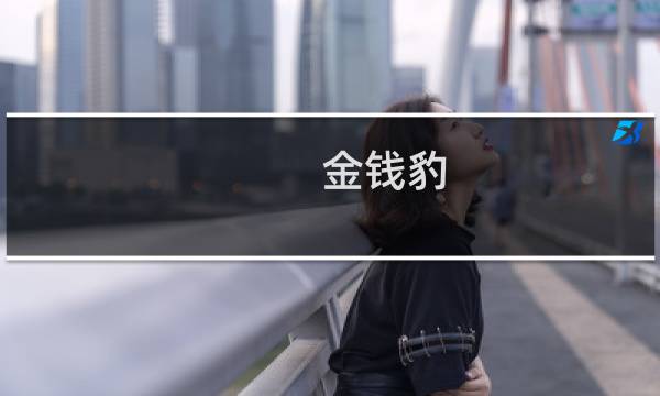金钱豹 攻略