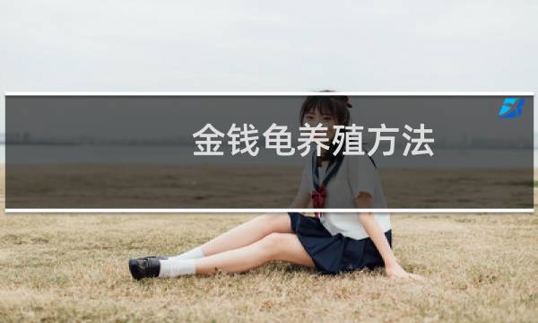金钱龟养殖方法