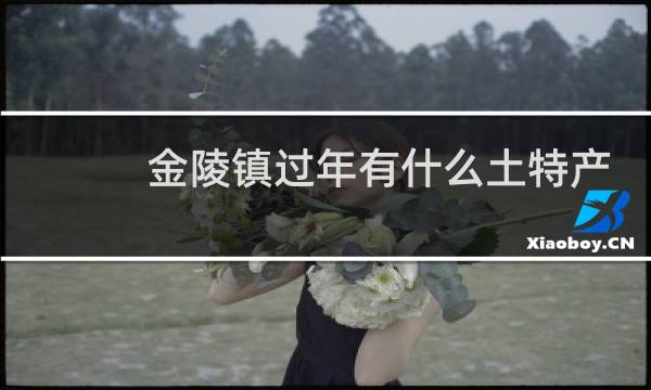 金陵镇过年有什么土特产