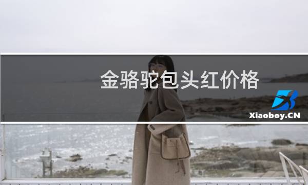 金骆驼包头红价格