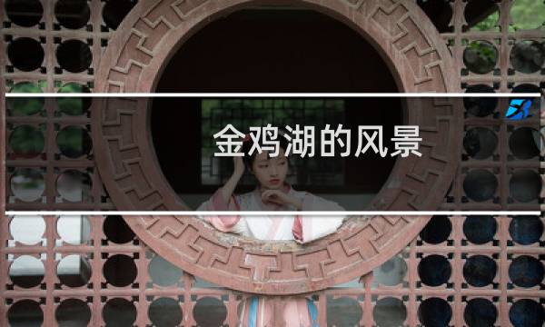 金雞湖的風(fēng)景