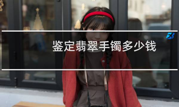 鉴定翡翠手镯多少钱
