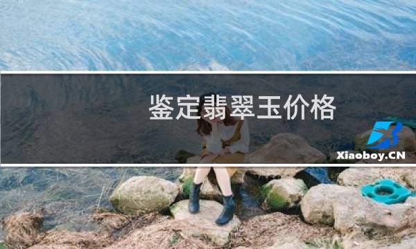 鉴定翡翠玉价格