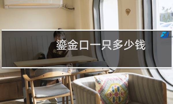 鎏金口一只多少钱