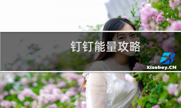 钉钉能量攻略