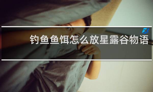 钓鱼鱼饵怎么放星露谷物语