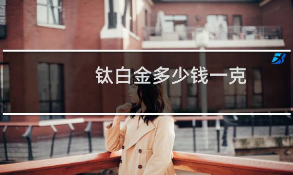 钛白金多少钱一克