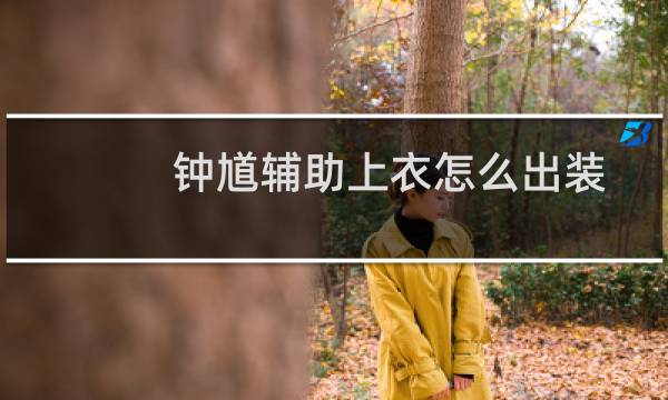 钟馗辅助上衣怎么出装