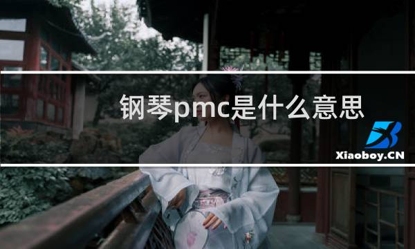 钢琴pmc是什么意思
