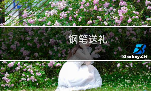 钢笔送礼