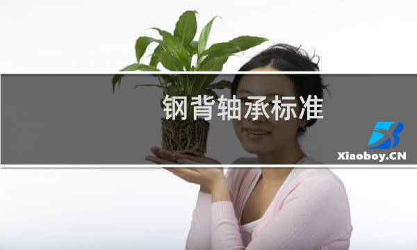 钢背轴承标准