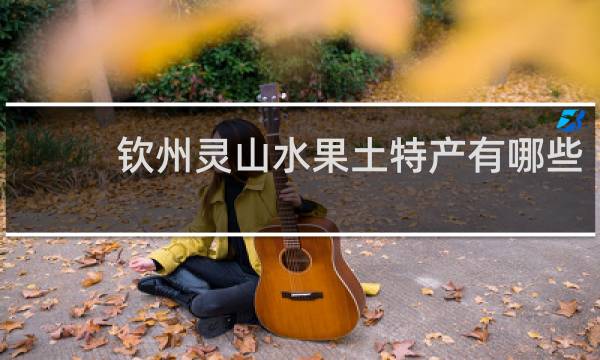 钦州灵山水果土特产有哪些