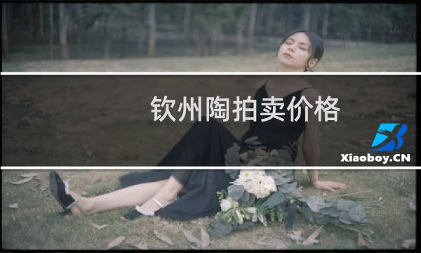 钦州陶拍卖价格