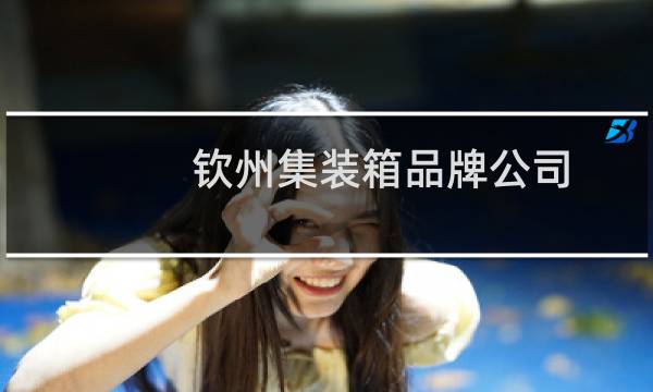 钦州集装箱品牌公司