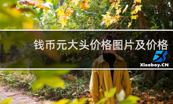 钱币元大头价格图片及价格