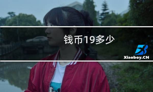 钱币19多少