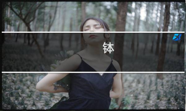 钵 底 攻略
