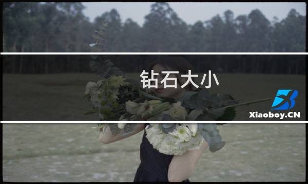 钻石大小 价格