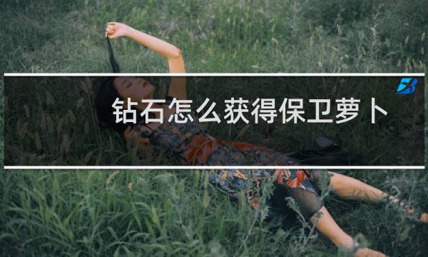 钻石怎么获得保卫萝卜