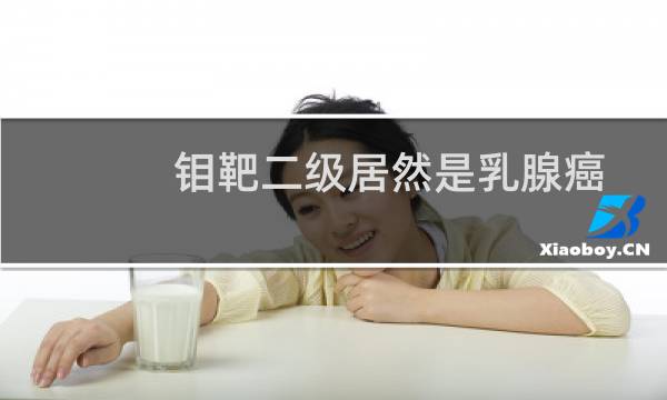 钼靶二级居然是乳腺癌