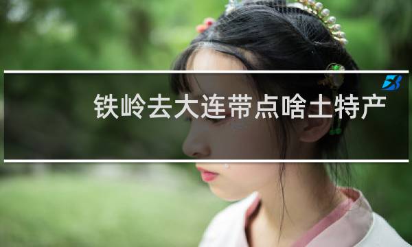 铁岭去大连带点啥土特产