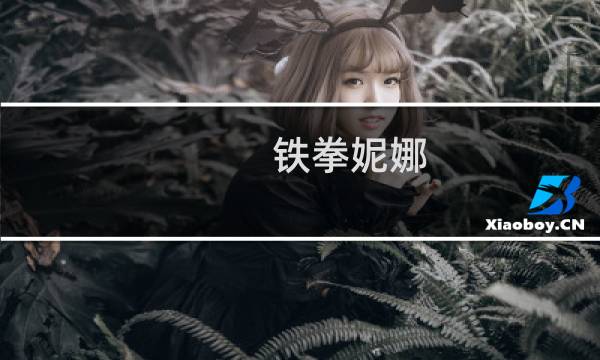 铁拳妮娜 攻略
