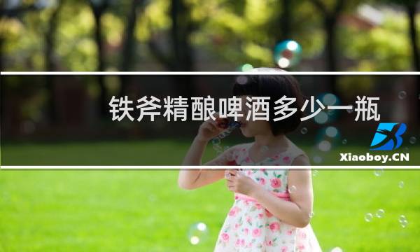 铁斧精酿啤酒多少一瓶
