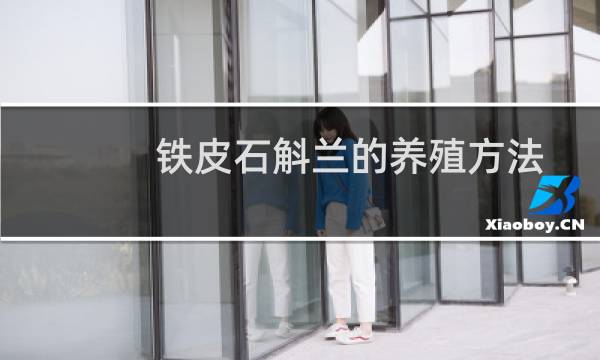 铁皮石斛兰的养殖方法