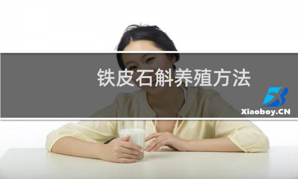 铁皮石斛养殖方法