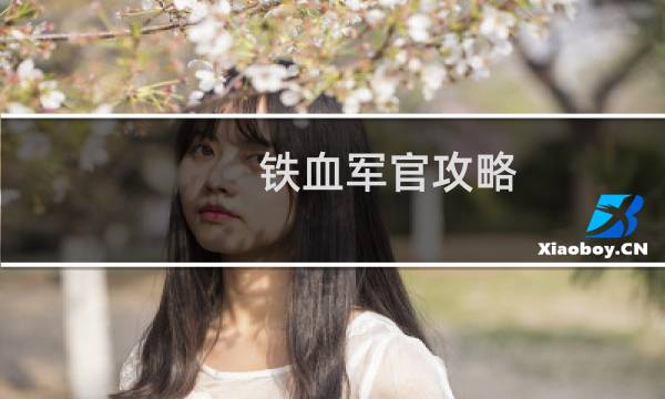铁血军官攻略