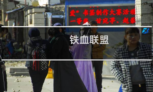 铁血联盟 2 攻略