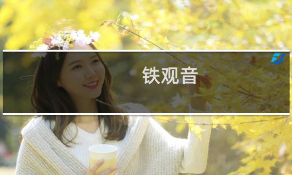 铁观音 什么季节喝