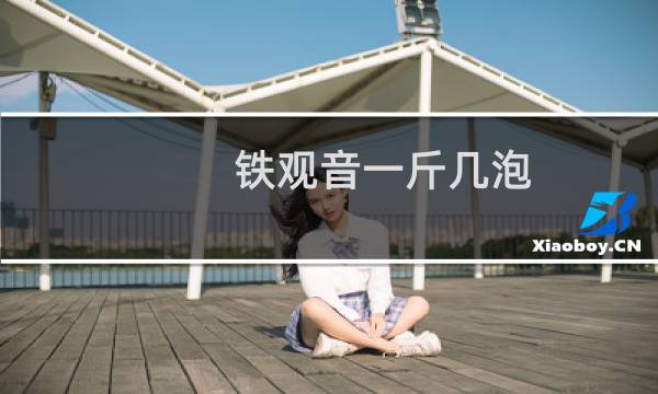 铁观音一斤几泡