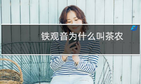 铁观音为什么叫茶农