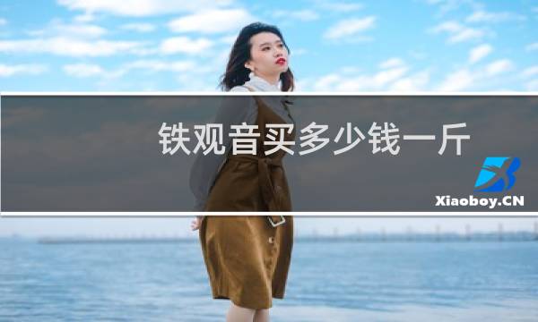 铁观音买多少钱一斤