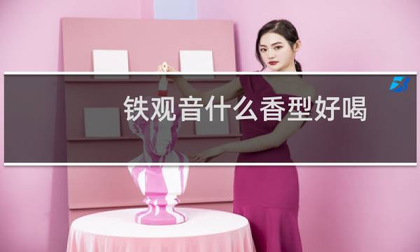 铁观音什么香型好喝