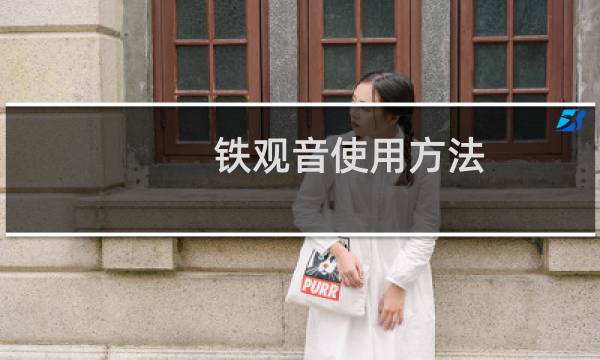 铁观音使用方法