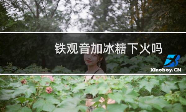 铁观音加冰糖下火吗