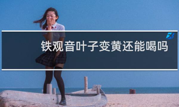 铁观音叶子变黄还能喝吗