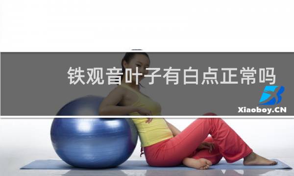 铁观音叶子有白点正常吗