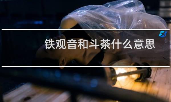 铁观音和斗茶什么意思