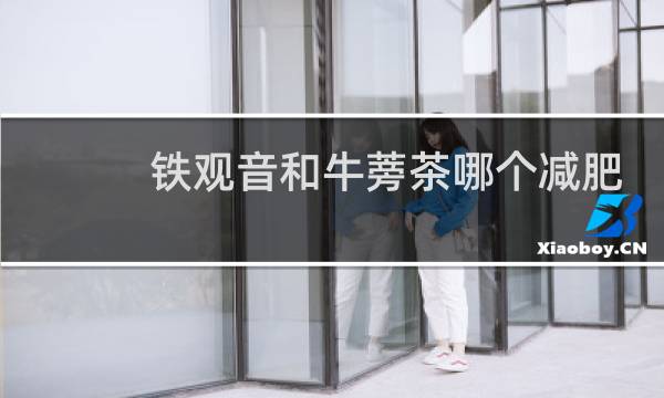 铁观音和牛蒡茶哪个减肥