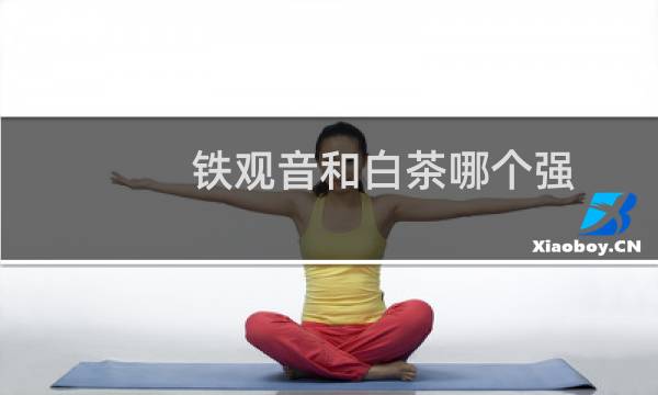 铁观音和白茶哪个强