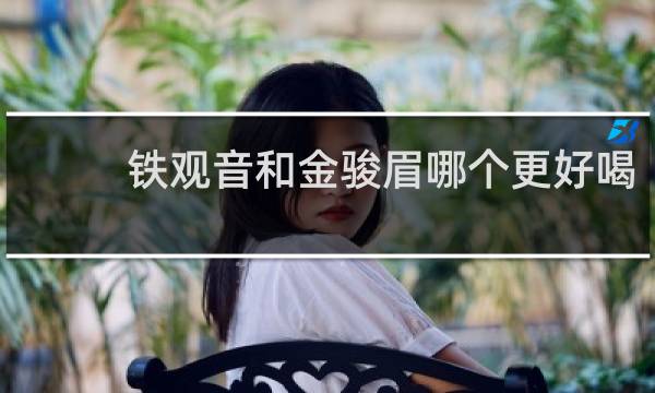 铁观音和金骏眉哪个更好喝
