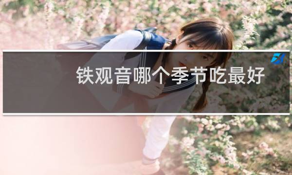 铁观音哪个季节吃最好