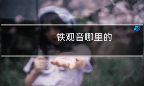 铁观音哪里的